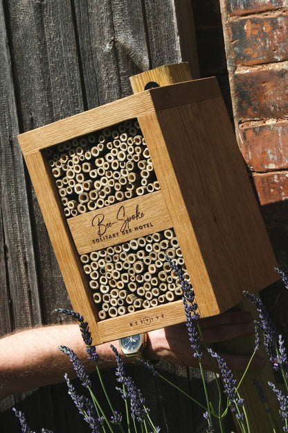 Bee-Spoke Bee Hotel