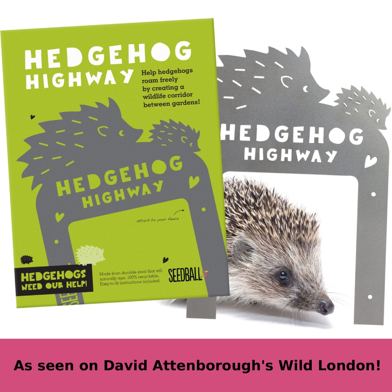 Hedgehog Highway