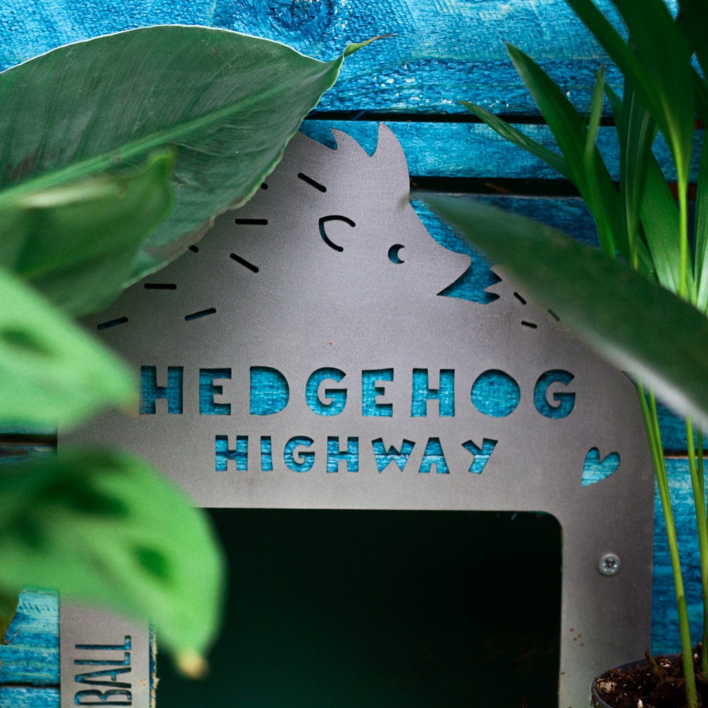 Hedgehog Highway