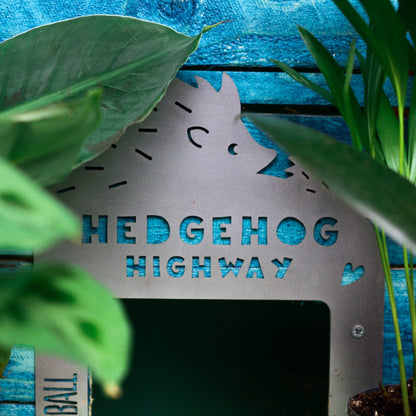 Hedgehog Highway