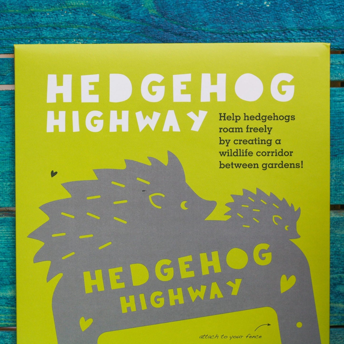 Hedgehog Highway
