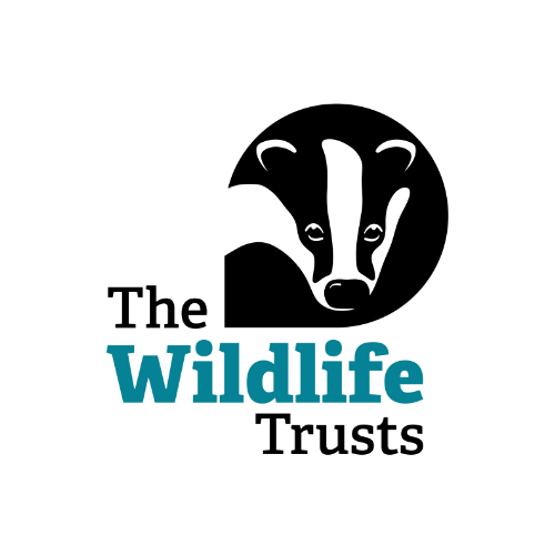 the wildlife trusts logo