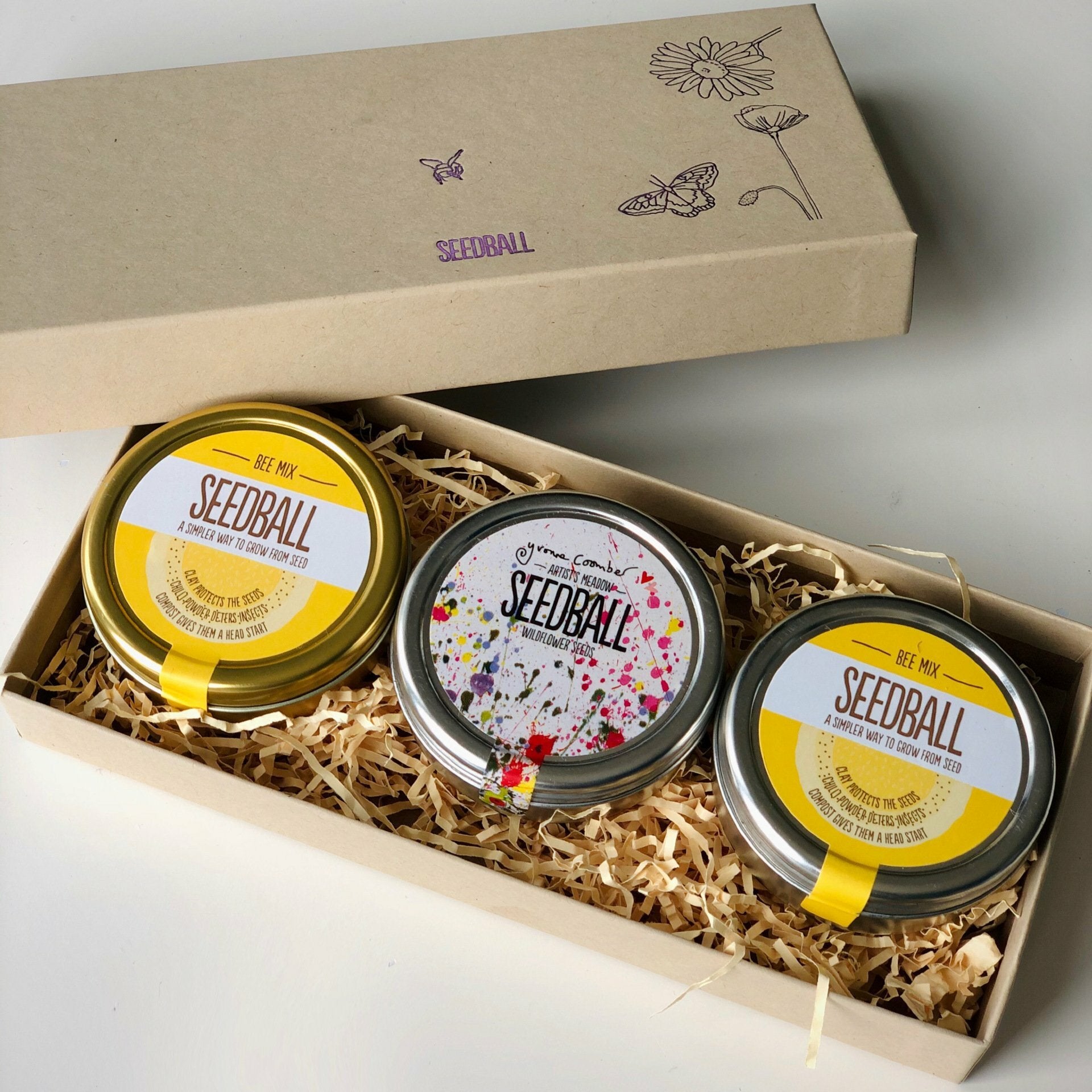 3 seedball tins in a cardboard box - bee lovers gift box product on beevive