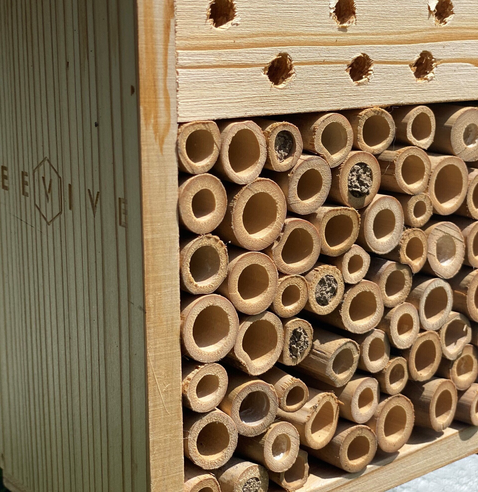 bee hotel 2.0 with many wooden tube ends sealed by bees - available from beevive.com