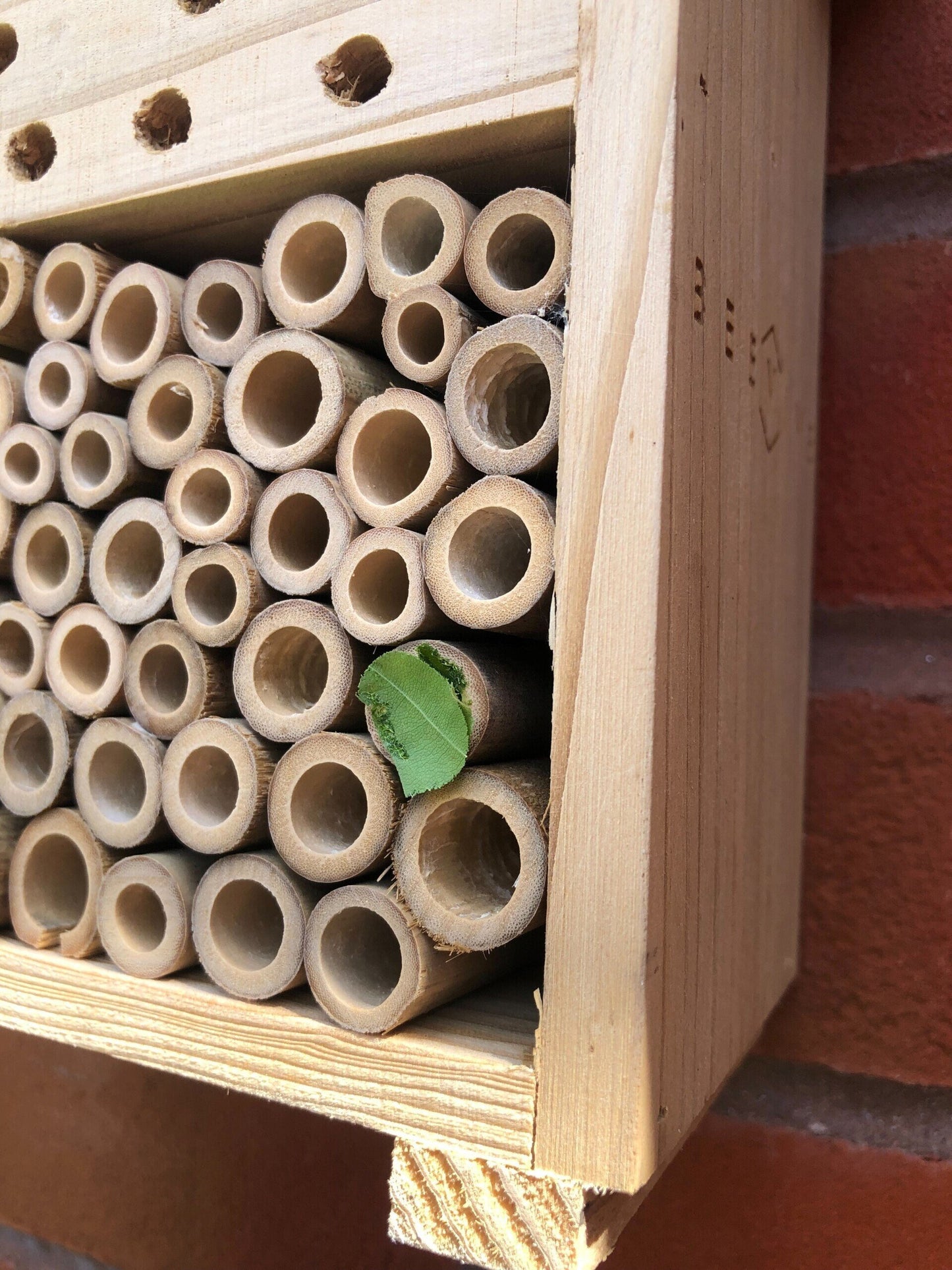 bee hotel 2.0 in situ located on a red brick wall.  tiny green leaf covering one of the wooden tubes - available from beevive.com
