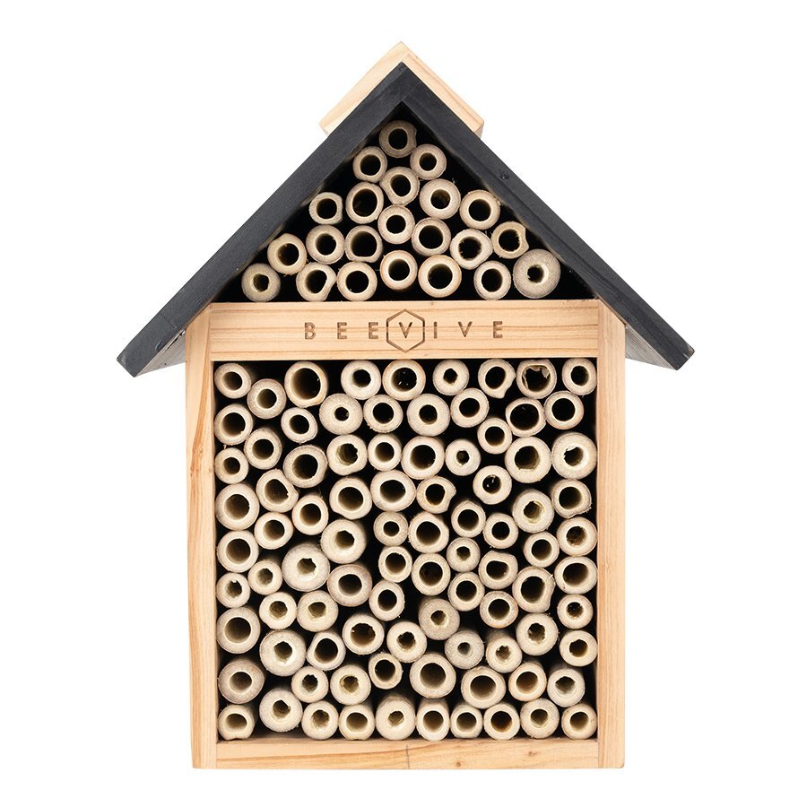 front of bee hotel 2.0 out of its cardboard sleeve available from beevive.com