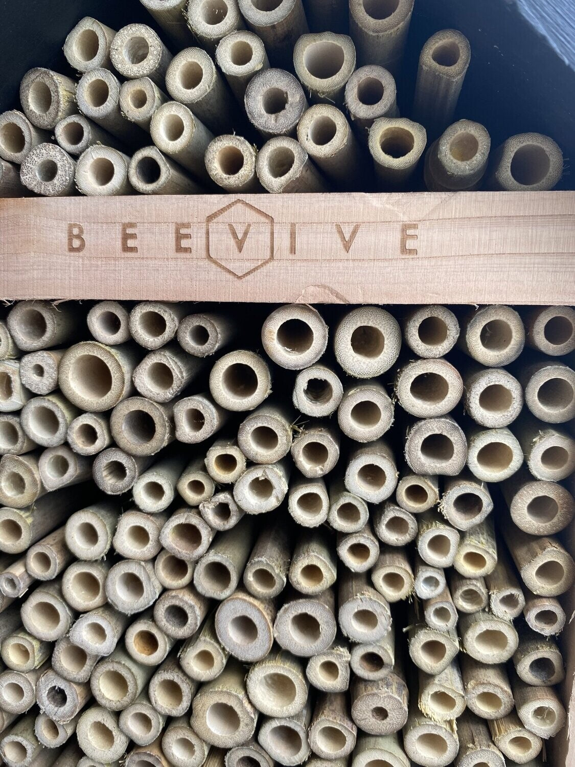 front of non perfect bee hotel 2.0 showing beevive.com logo stamped out of place
