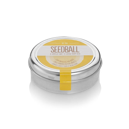 closed tin showing bee mix seedballs classic silver - available from beevive