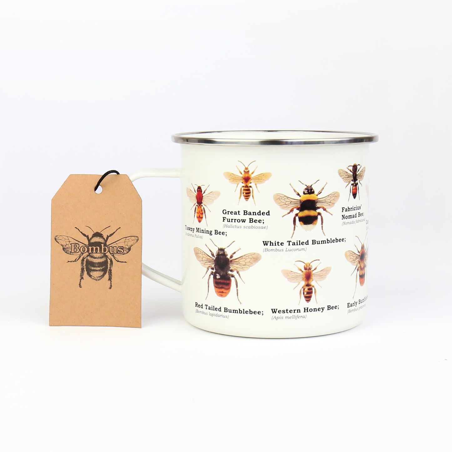 eye level shot of bee identification enamel mug white background showing bombus label tag