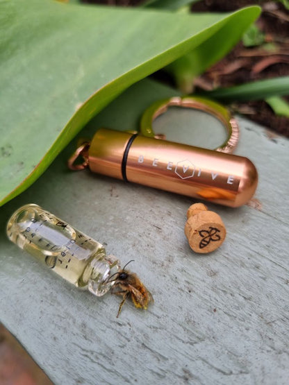 rachel white saving a bee with a rose gold revival kit