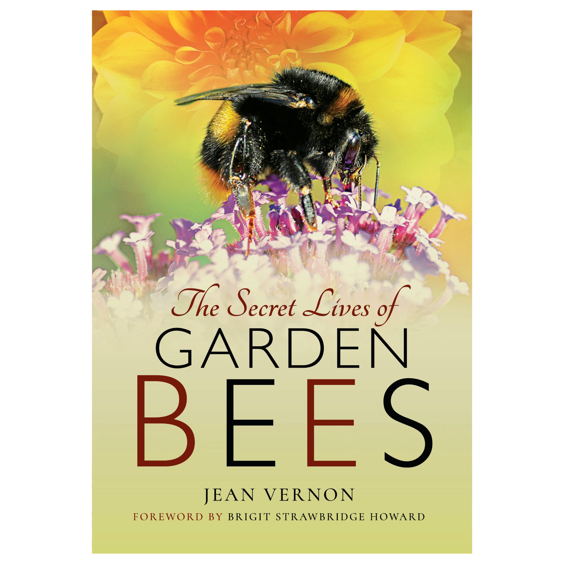 secret lives of garden bees book by jean vernon