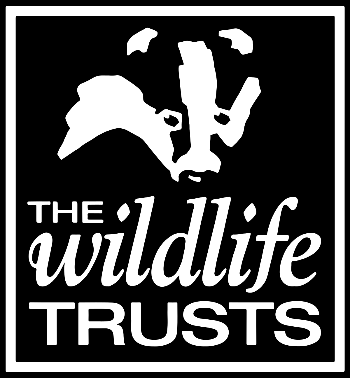 the wildlife trusts logo